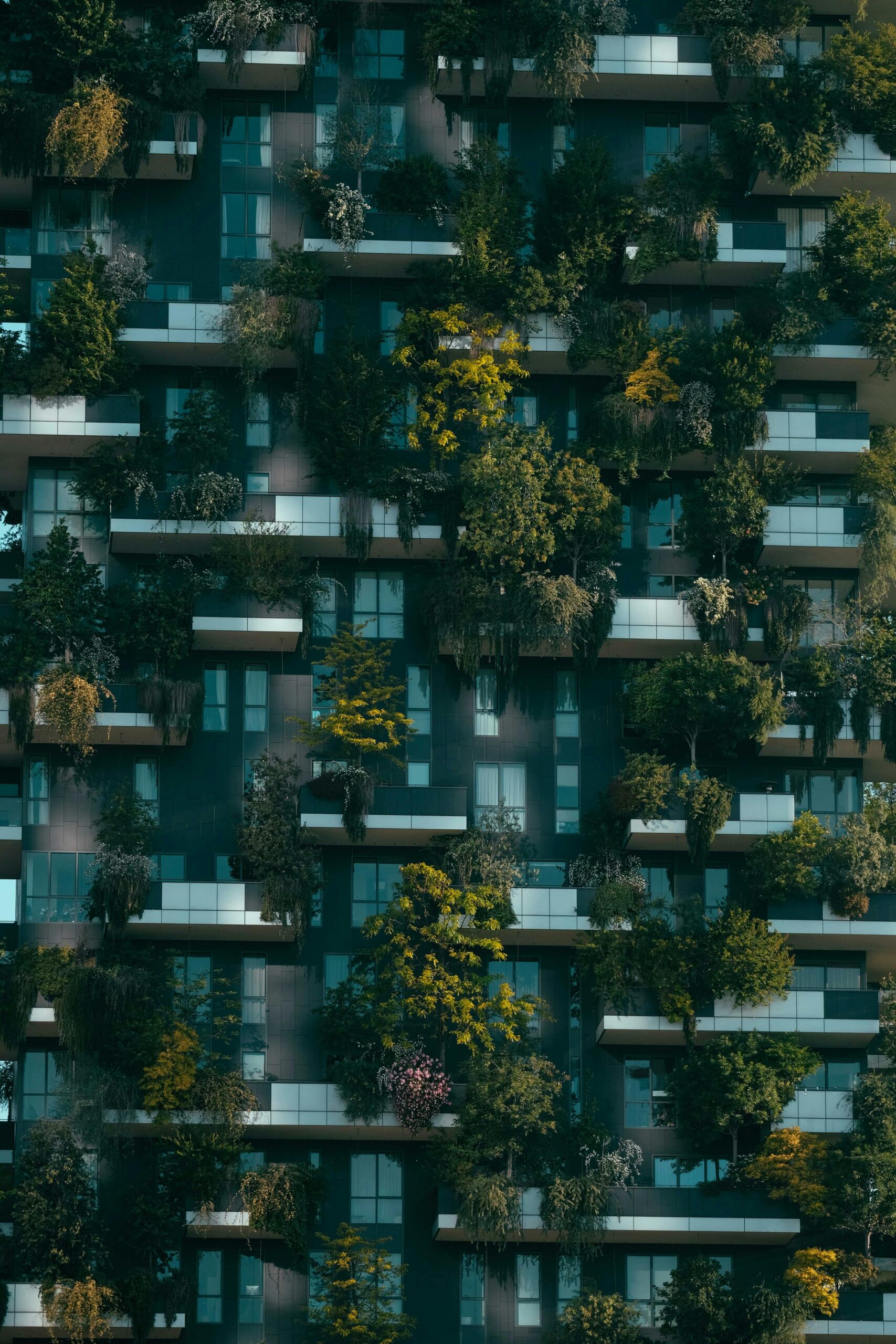 Découvrez les dernières tendances et actualités des crédits immobiliers en France en juin 2024. Informez-vous sur les taux, les nouvelles régulations, et les opportunités pour les acheteurs et investisseurs.